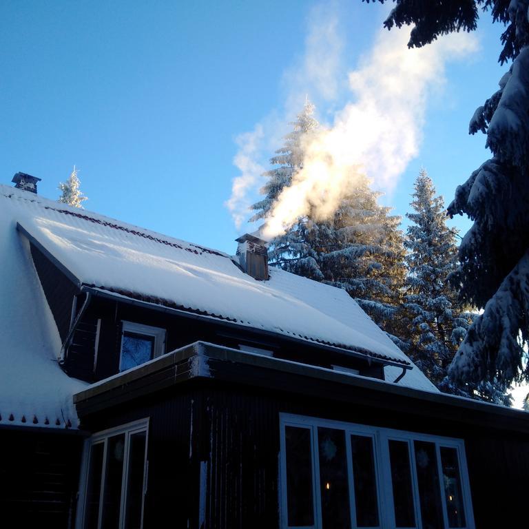 The Cabin - Harz National Park Otel Sankt Andreasberg Dış mekan fotoğraf
