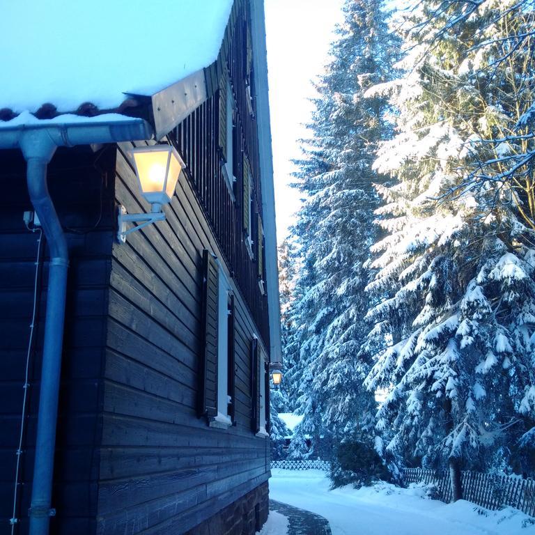 The Cabin - Harz National Park Otel Sankt Andreasberg Dış mekan fotoğraf
